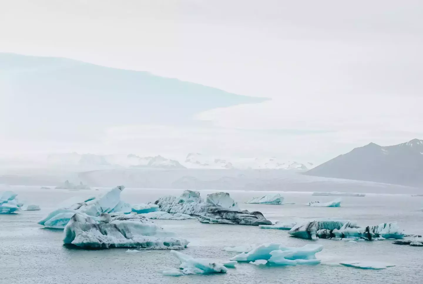 Icebergs floating on water