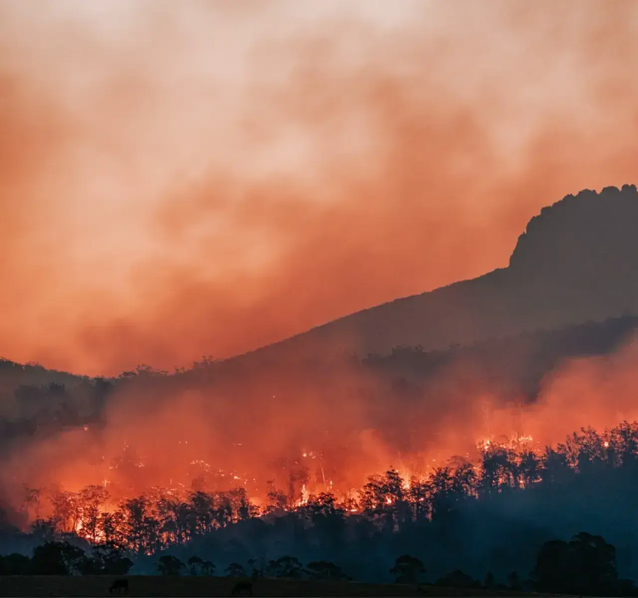 Fire mountains